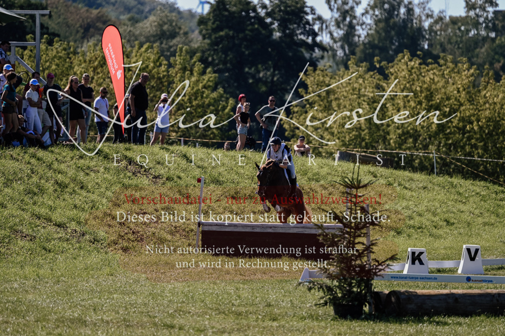 DSC_1337 | Pferde- und Turnierfotografie in Westsachsen. Pferdeportraits, Auftragszeichnungen und intuitive Kunst.