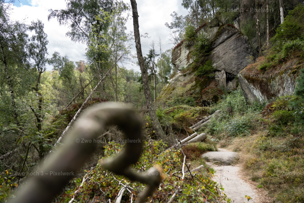 Frienstein_Strauch_Felsen_Flechte_Waldweg_Ast | 2022-09-02_Waldbrandgebiete_2 - Realisiert mit Pictrs.com