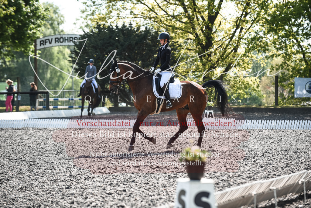 DSC_8935 | Pferde- und Turnierfotografie in Westsachsen. Pferdeportraits, Auftragszeichnungen und intuitive Kunst.
