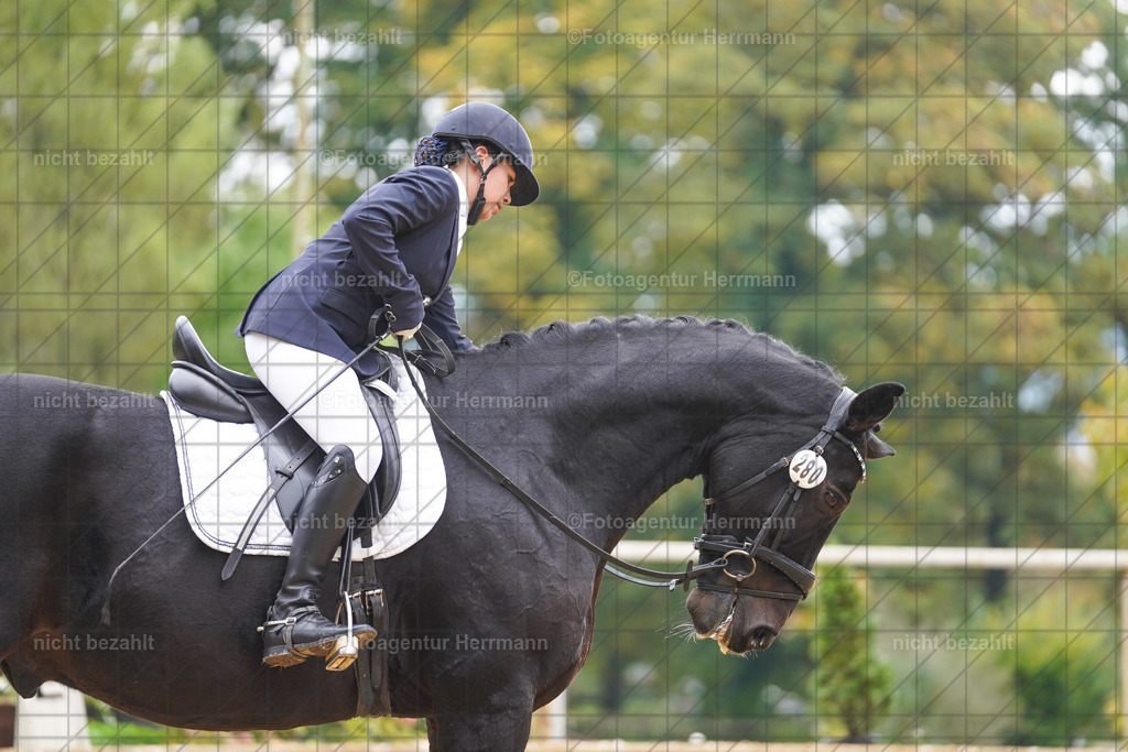 20221008-FAH00982 | Diessen am Ammersee, 2022, Dressur- und Springturnier, Reitsportbilder, Turnierfotografen Bayern, Pferdefotografen, Fotoagentur Herrmann, Turnierbilder