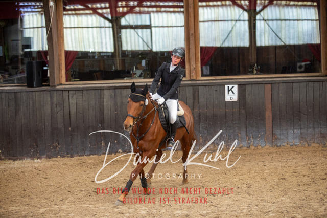 IMG_1762 | Turniersportfotografie; Pferdefotografie; Dressurfotografie