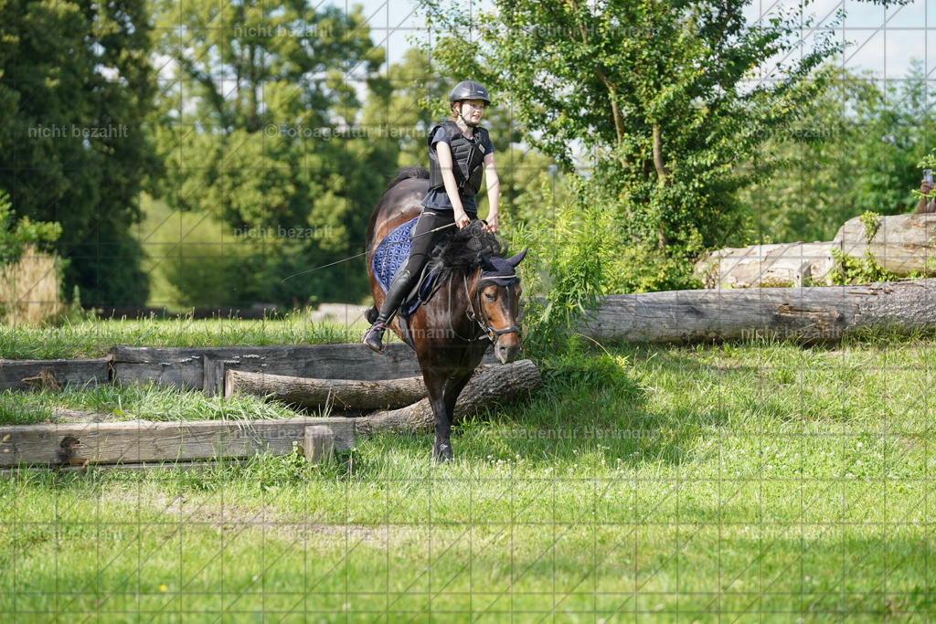 20240622-FAH08084 | Turnierfotografen Bayern, Reitsportbilder aus dem Geländekurs mit Felix Etzel auf dem Gut Waitzacker 2024