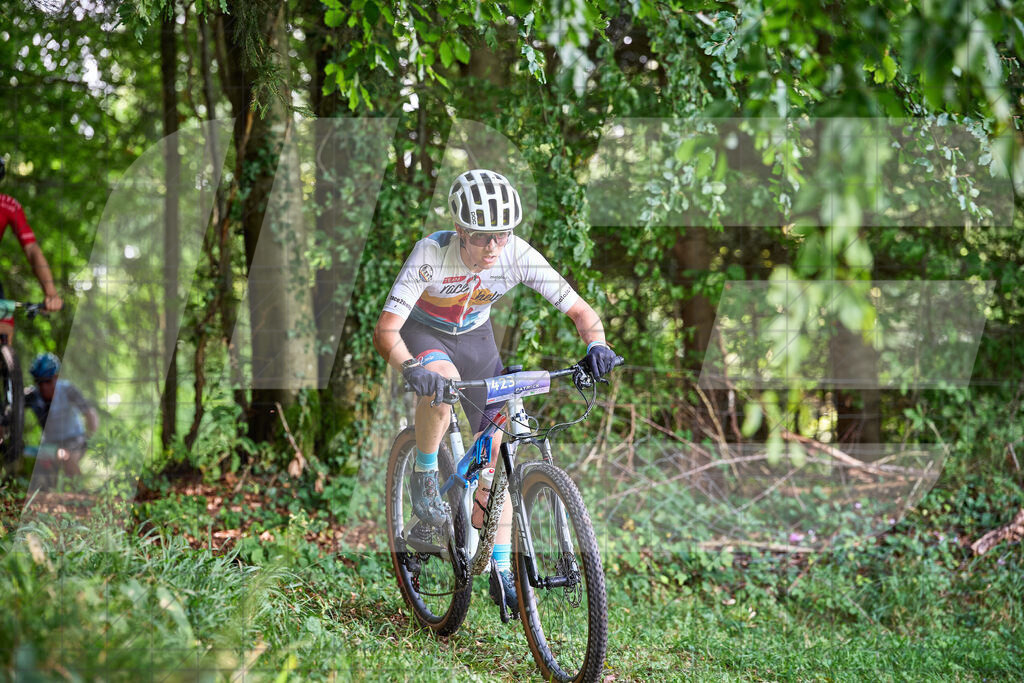 Betriebszentrum Laubenbachmühle, Frankenfels, Österreich - 13. September 2025: Dirndltal Race - Fun und Trophy RaceFotograf: Martin Bihounek / martinbihounek.com | 13. September 2025 Betriebszentrum Laubenbachmühle, Frankenfels, Österreich : Dirndltal Race - Fun und Trophy Race •••••Photo by: Martin Bihounek / martinbihounek.comInsta: @martinbihounekcom