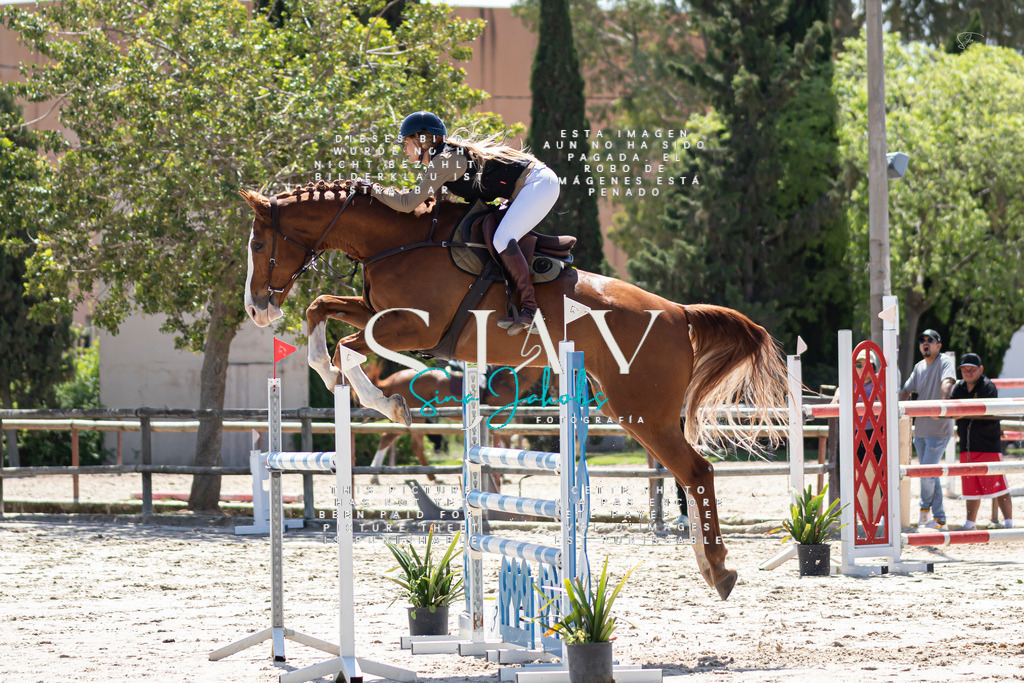 IMG_0027 | s-jay-photography - Realized with Pictrs.com