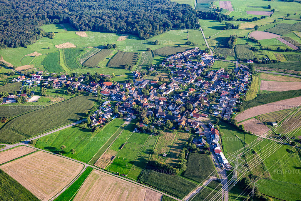 Luftbild: Ortsansicht von Norden im Ortsteil Zierolshofen in Kehl im Bundesland Baden-Württemberg in Deutschland. Foto: IMG_137798.jpg vom 18.08.2023 durch Werner Riehm/FLY-FOTO.de
