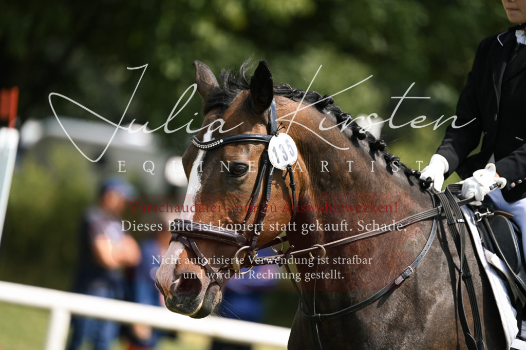 DSC_9229 | Pferde- und Turnierfotografie in Westsachsen. Pferdeportraits, Auftragszeichnungen und intuitive Kunst.