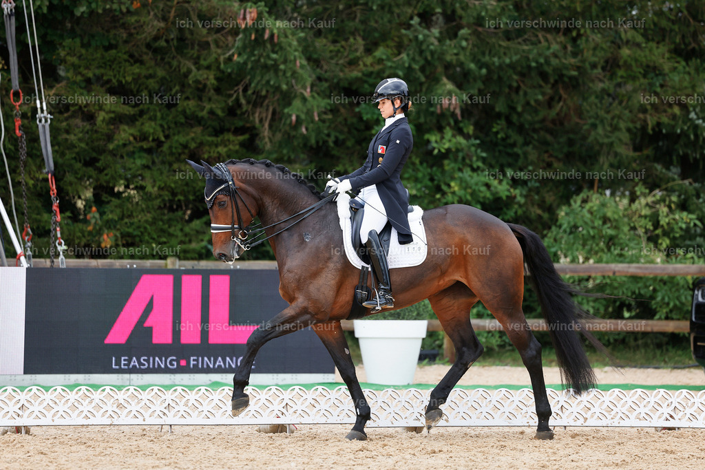 12-110-DRESSUR  S___  -StoibPH-5284 | working equitationturnier fotograf videograf stoibphotography marixx film working equitation deutschland reitsport turnierfotografie eventfotografie equestrian events