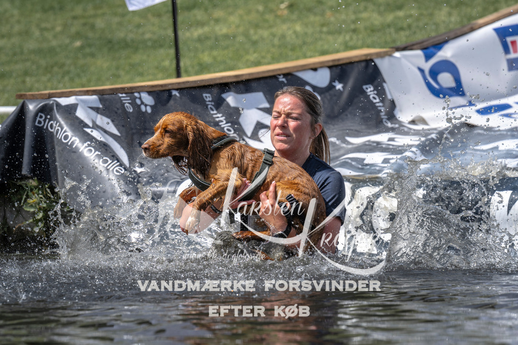 1245_ZZ98932 | kk-dogfotos