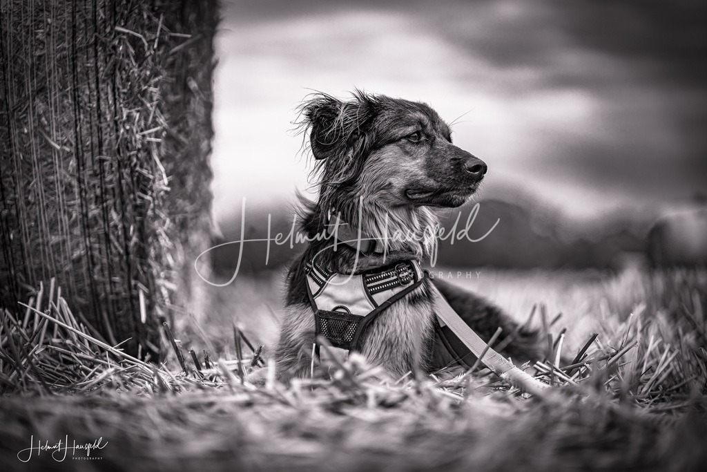 DSC01933kl | Landschaftsfotografie, Naturfotografie - Realisiert mit Pictrs.com