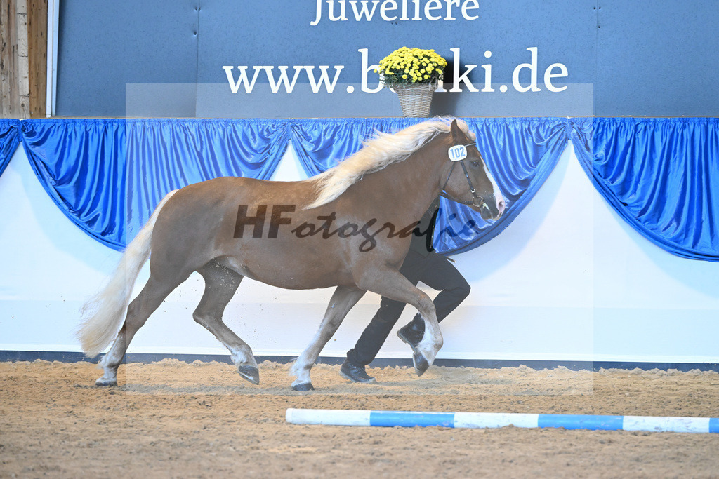 Kat-Nr. 102 Malea_ZG Schmidt_53220716 | hf-fotografie - Realizzato con Pictrs.com