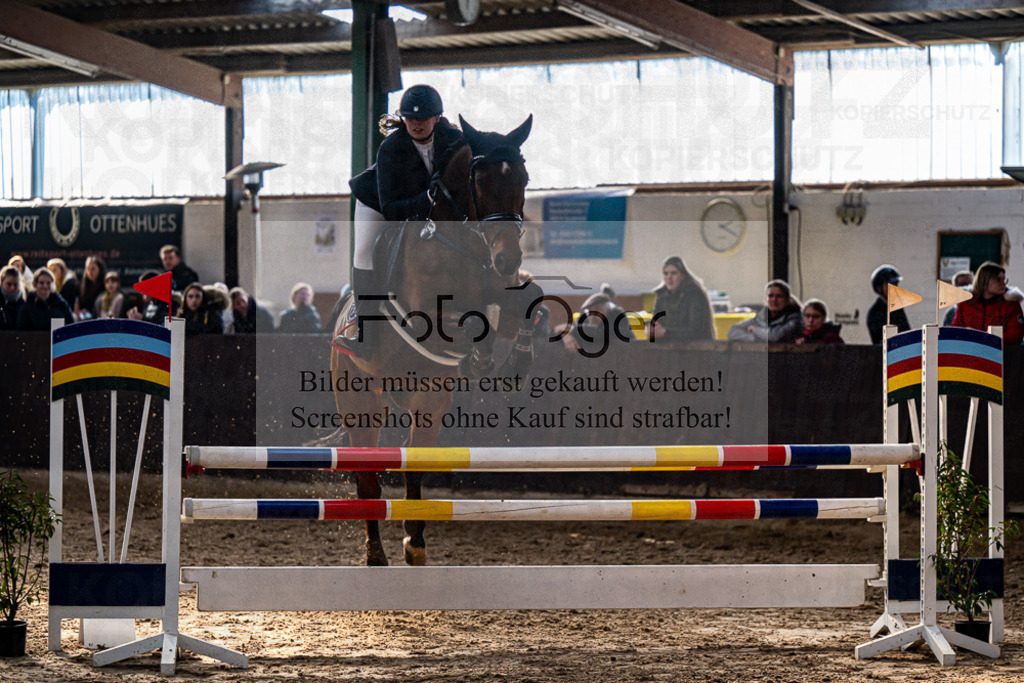 20240309-DOS_7239 | Entdecke hochwertige Reitturnierfotos von Foto Oger. Professionell, emotional und authentisch – jetzt Lieblingsmomente im Shop bestellen.Deutschlandweite Turnierfotografie. - Realisiert mit Pictrs.com