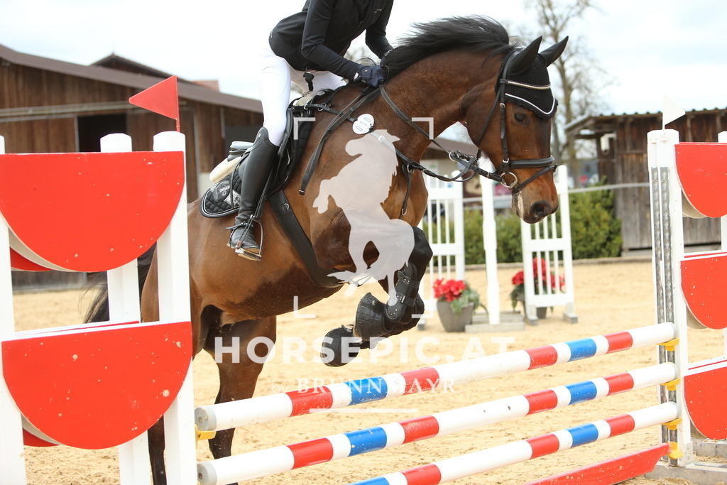 DL2Q2095 | Willkommen bei Brunnmayr - Design & Fotografie – Ihrem Spezialisten für Reitturniere und Pferdeveranstaltungen in Oberösterreich, Salzburg und Bayern! Seit über 17 Jahren sind wir leidenschaftlich dabei.