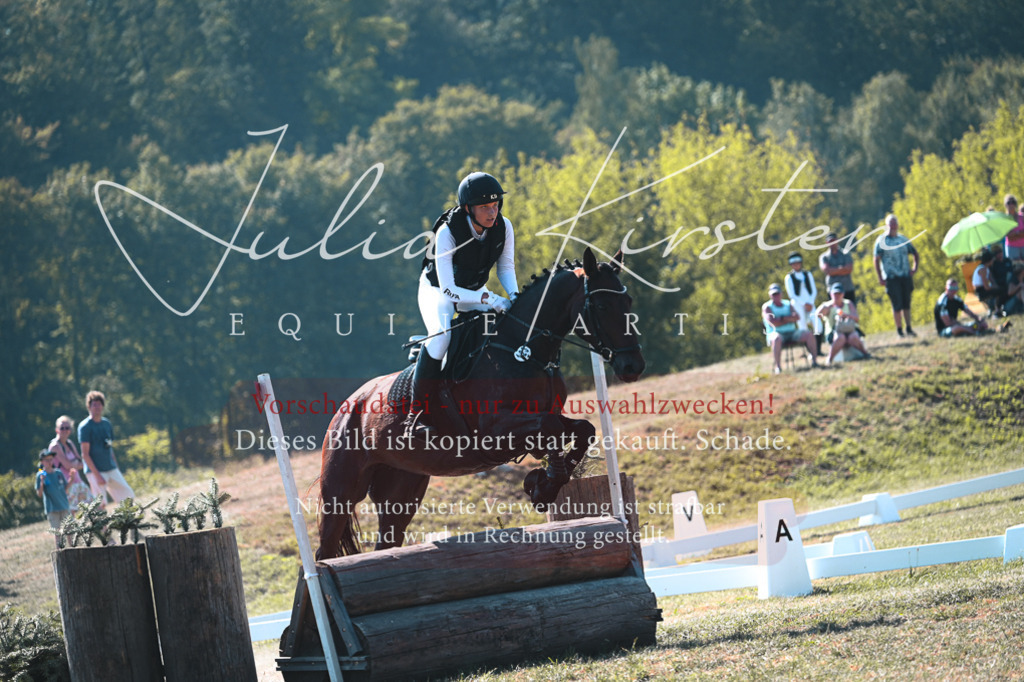 DSC_7890 | Pferde- und Turnierfotografie in Westsachsen. Pferdeportraits, Auftragszeichnungen und intuitive Kunst.