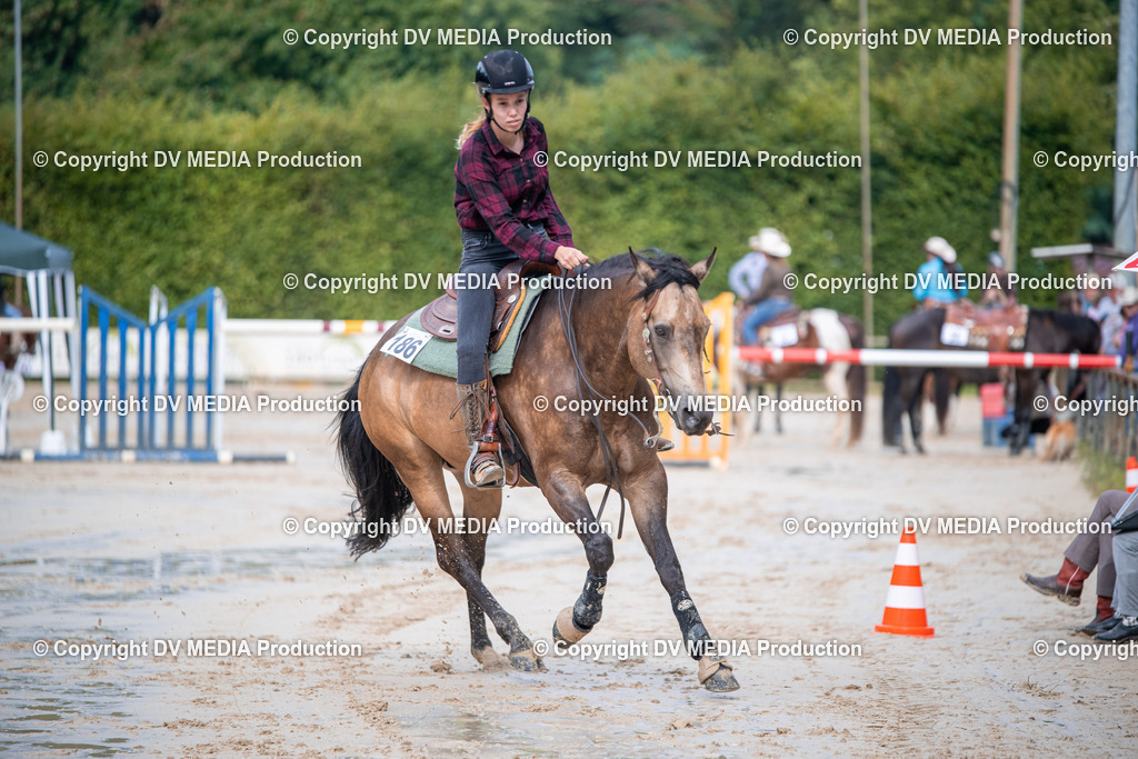 ZS2_4253 | dv-media-shop - Realisiert mit Pictrs.com