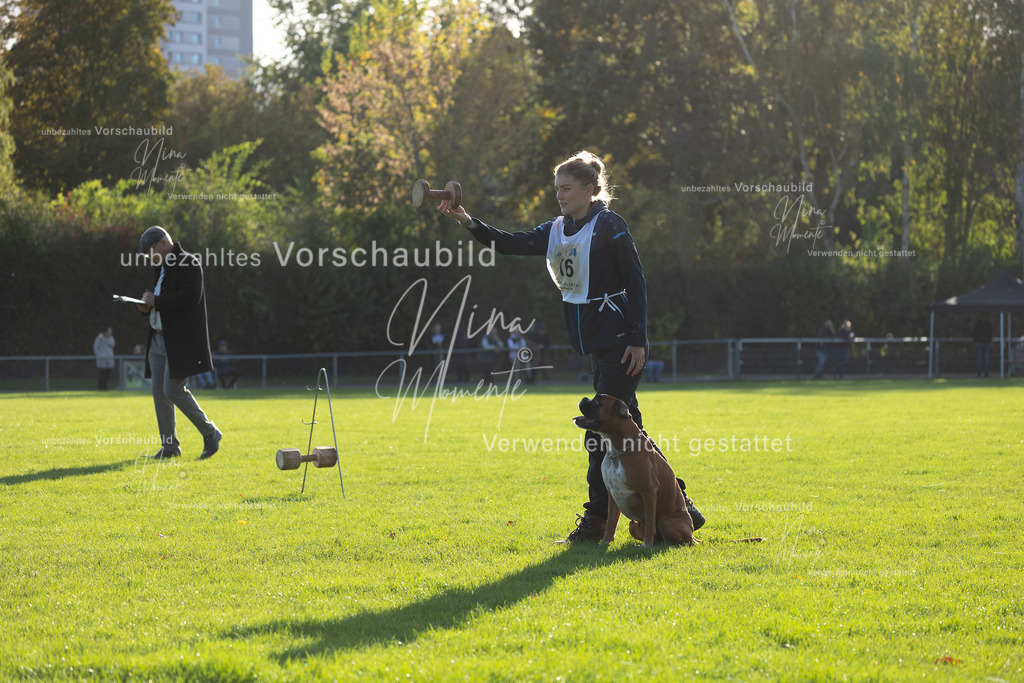 _16A4803 | Einzigartige Fotos von Hunden & Menschen –Actionfotos, Portraits, Vereinsaufnahmen & Paarshootings – authentisch, lebendig & mit Herz.