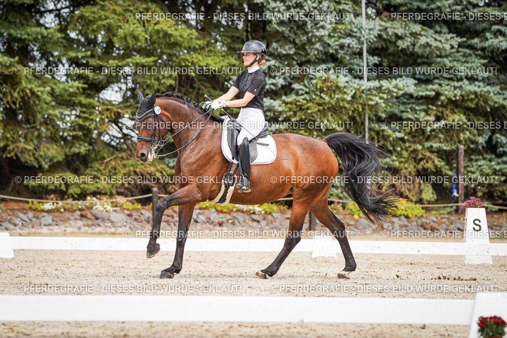 DSC06086 | Pferdegrafie