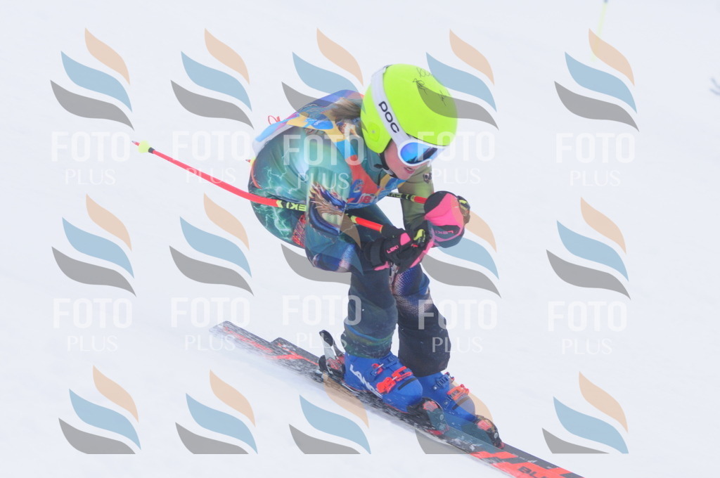 C2774 | holidayphoto