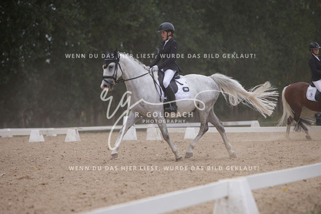 1J2A0822Charlotte Fehr_ Ikon 16_ Kn061_ Wöpkendorf_ Annalena Beier_ Quinn M_ Kn095 | Foto- und Videografie für alles rund ums Pferd. Hochwertige Bilder und Videos vom Spring- und Dressurreiten, Voltigieren & mehr. Jetzt aktuelle Veranstaltungen und Preise im Shop ansehen. - Realisiert mit Pictrs.com