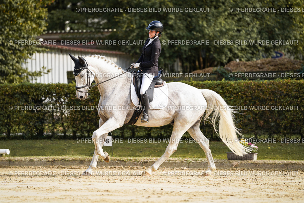 DSC05761 | Pferdegrafie