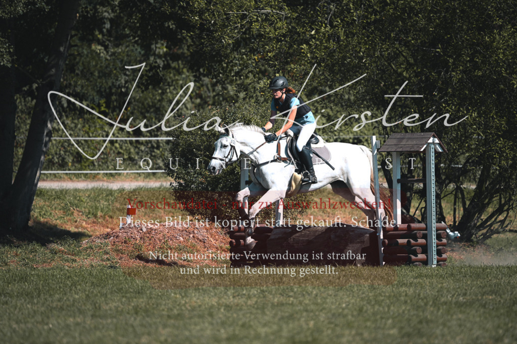 DSC_7959 | Pferde- und Turnierfotografie in Westsachsen. Pferdeportraits, Auftragszeichnungen und intuitive Kunst.