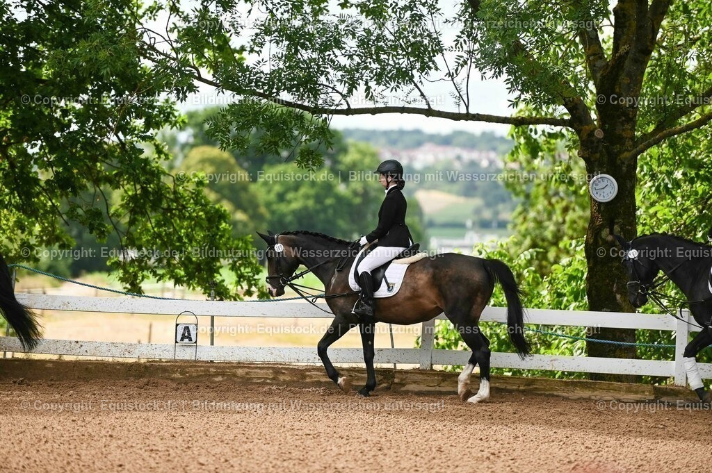 20230716_10-1_Reiter-WB Schritt - Trab - Galopp_0044 | equistock
