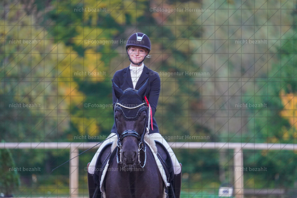 20221007-FAH00664 | Diessen am Ammersee, 2022, Dressur- und Springturnier, Reitsportbilder, Turnierfotografen Bayern, Pferdefotografen, Fotoagentur Herrmann, Turnierbilder