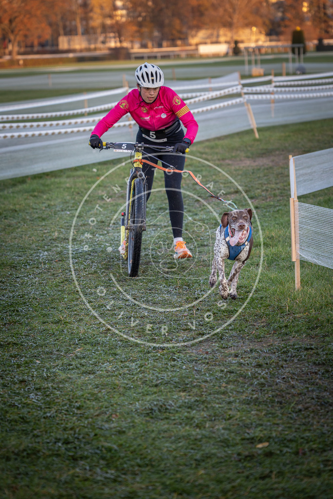 CaniXpix_0L8A1038 | Hundefotografie, Tierfotograf, Pfotenfotografie, Fotoshooting Hund, Hunde Portrait, Hundesport, Hundeportraits, Heideshooting, Hunde, Sportfotograf, Hundefotograf, Turnierhundsport, THS,  - Realisiert mit Pictrs.com