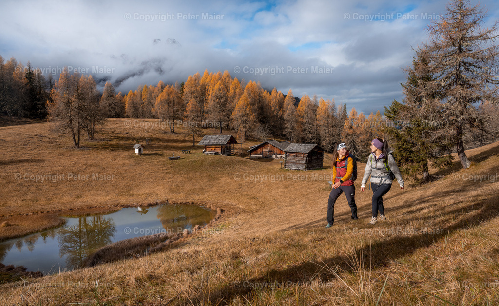 Herbst_25_Aussergsell-388 | piet_flosse