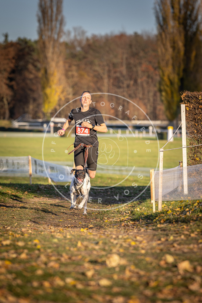 CaniXpix_DV3A4193 | Hundefotografie, Tierfotograf, Pfotenfotografie, Fotoshooting Hund, Hunde Portrait, Hundesport, Hundeportraits, Heideshooting, Hunde, Sportfotograf, Hundefotograf, Turnierhundsport, THS,  - Realisiert mit Pictrs.com