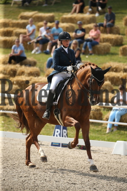 Birkhof_2022_GrandPrixSpecial_Nicole Casper_Birkhof_s Don Röschen FBW(9) | Alle Fotos der Reiterjournal Fotografin Doris Matthaes im Reiterjournal Online-Fotoshop. - Realisiert mit Pictrs.com