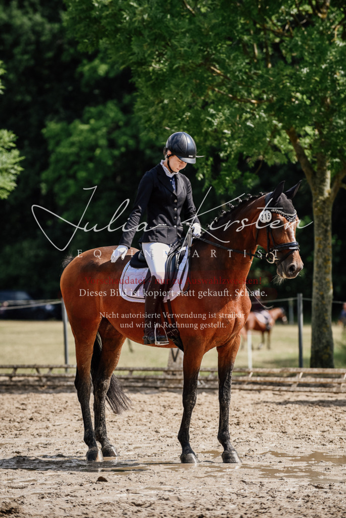 DSC_0505 | Pferde- und Turnierfotografie in Westsachsen. Pferdeportraits, Auftragszeichnungen und intuitive Kunst.