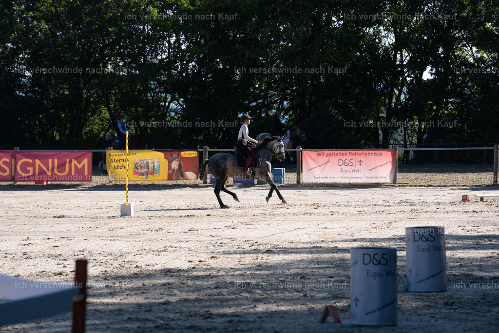WL_SP_6_SinaFilmArt_IN05575 | working equitationturnier fotograf videograf stoibphotography marixx film working equitation deutschland reitsport turnierfotografie eventfotografie equestrian events