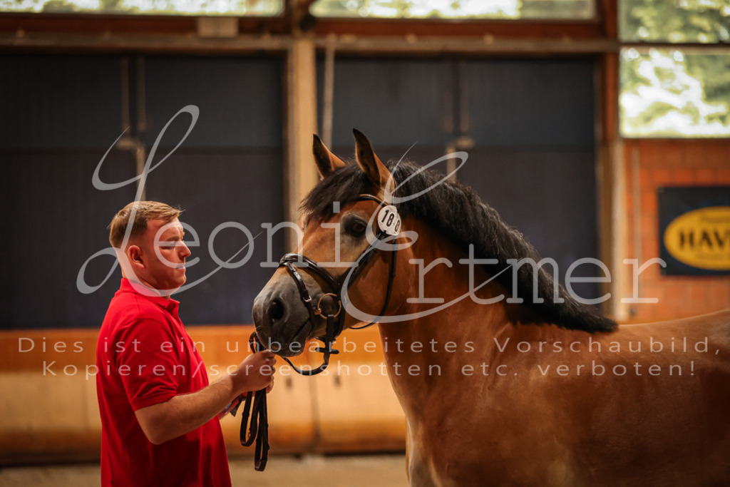 SaFL00181 | Leoni Ertmer Photography - Realisiert mit Pictrs.com
