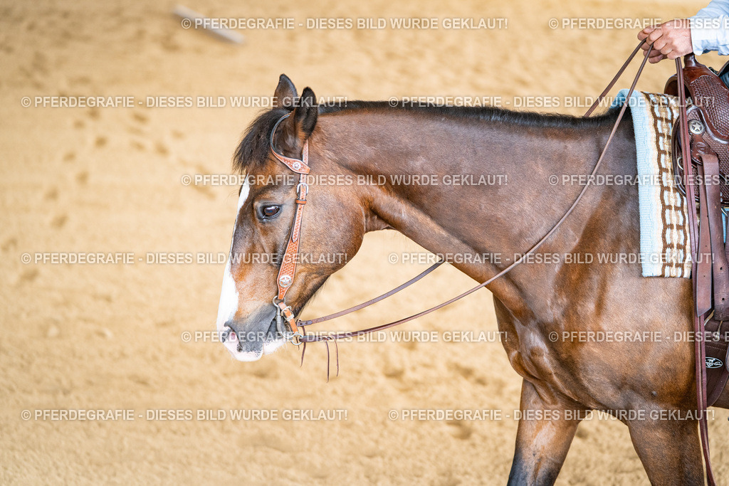 DSC02045 | Pferdegrafie