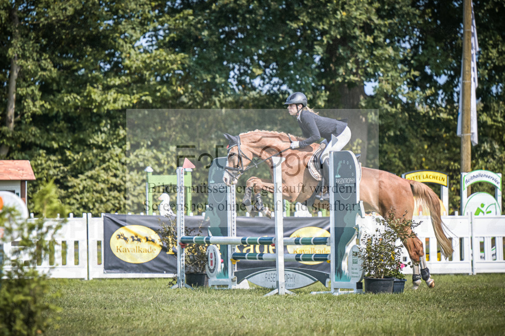 DOS_3113 | Entdecke hochwertige Reitturnierfotos von Foto Oger. Professionell, emotional und authentisch – jetzt Lieblingsmomente im Shop bestellen.Deutschlandweite Turnierfotografie. - Realisiert mit Pictrs.com
