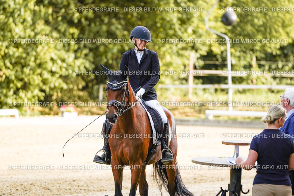 DSC04571 | Pferdegrafie