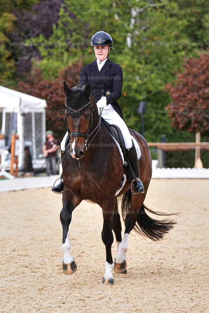 11-091-Dressur S___-Marixx-1621 | working equitationturnier fotograf videograf stoibphotography marixx film working equitation deutschland reitsport turnierfotografie eventfotografie equestrian events