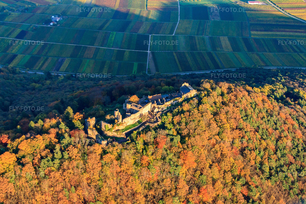 Luftbild: Burgruine Madenburg im herblist gefärbtem Wald in Eschbach im Bundesland Rheinland-Pfalz in Deutschland. Foto: IMG_60638.jpg vom 24.10.2013 durch Werner Riehm/FLY-FOTO.de