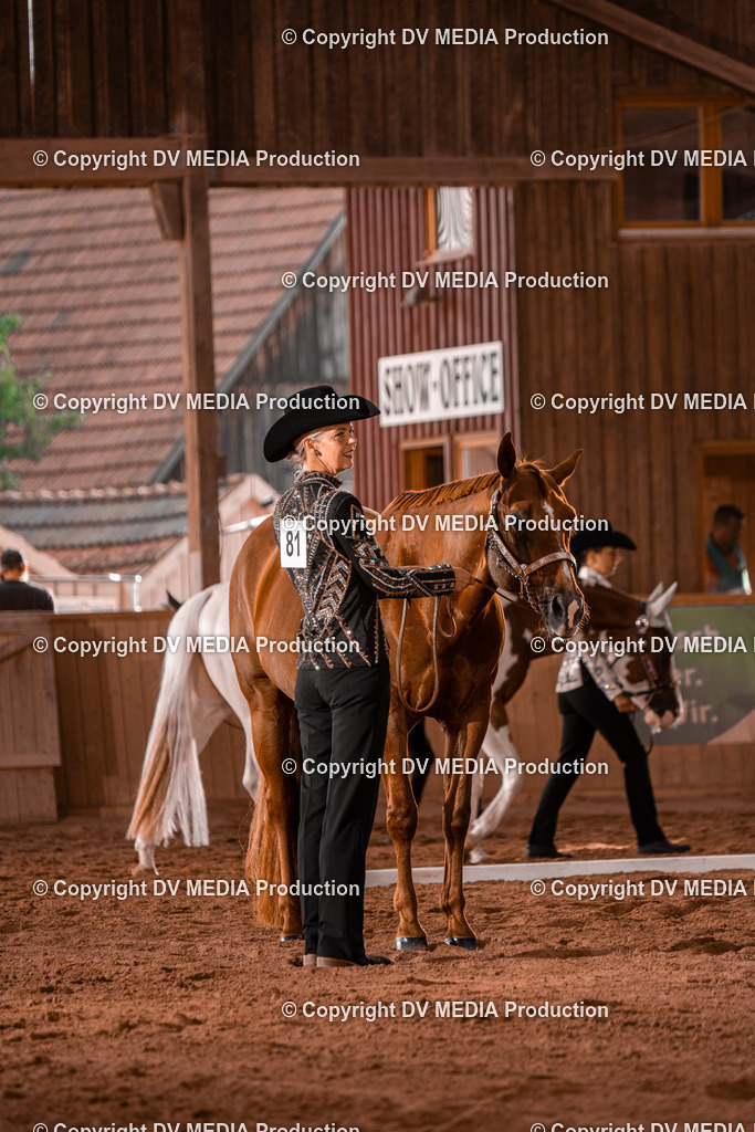 NE200025 | dv-media-shop - Realisiert mit Pictrs.com