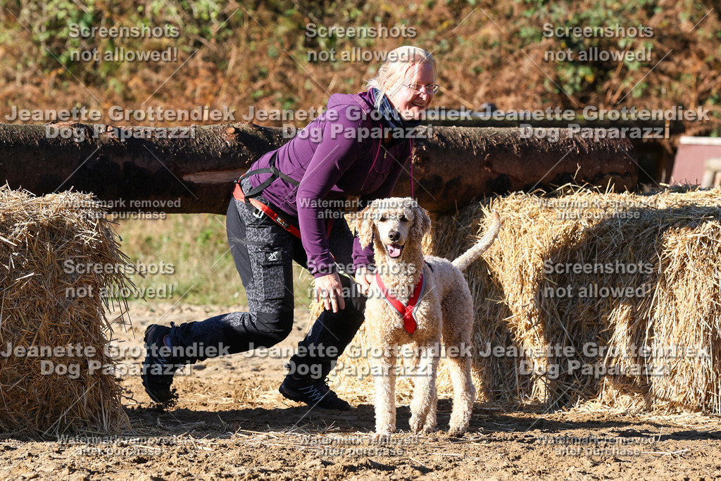 Dog Paparazzi - Strongdog 10-25-1705 | Dog Paparazzi Jeanette Grottendiek Fotografie & Videografie - Realisiert mit Pictrs.com