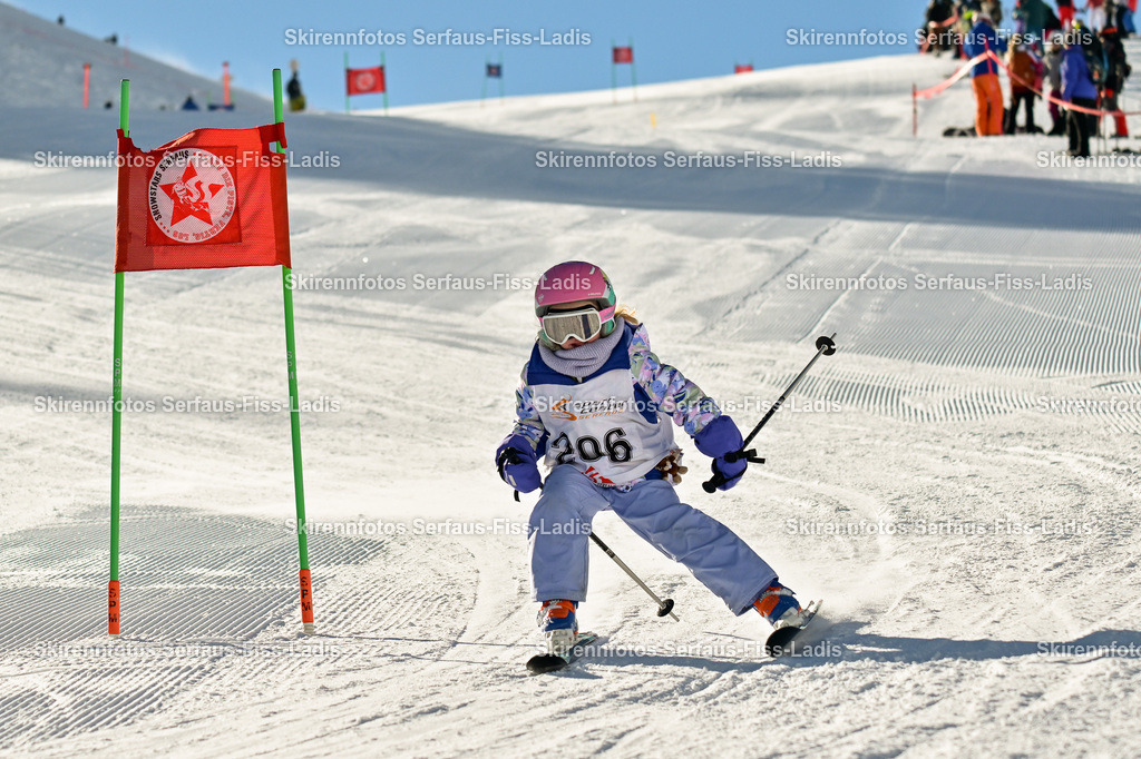 SRS_30.01.2026_0111 | SRS_30.01.2026_0111 - Realisiert mit Pictrs.com