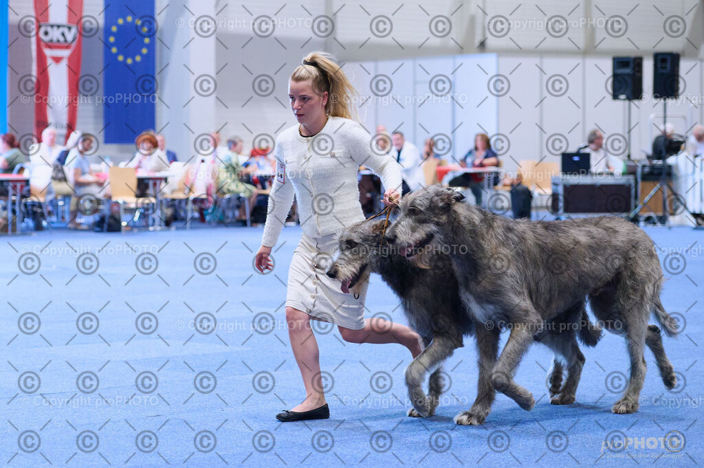 202406_ÖKV-IHA-Tulln24_DSC_3724 | proPHOTO - Realisiert mit Pictrs.com