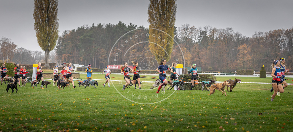 CaniXpix_DV3A8776 | Hundefotografie, Tierfotograf, Pfotenfotografie, Fotoshooting Hund, Hunde Portrait, Hundesport, Hundeportraits, Heideshooting, Hunde, Sportfotograf, Hundefotograf, Turnierhundsport, THS,  - Realisiert mit Pictrs.com