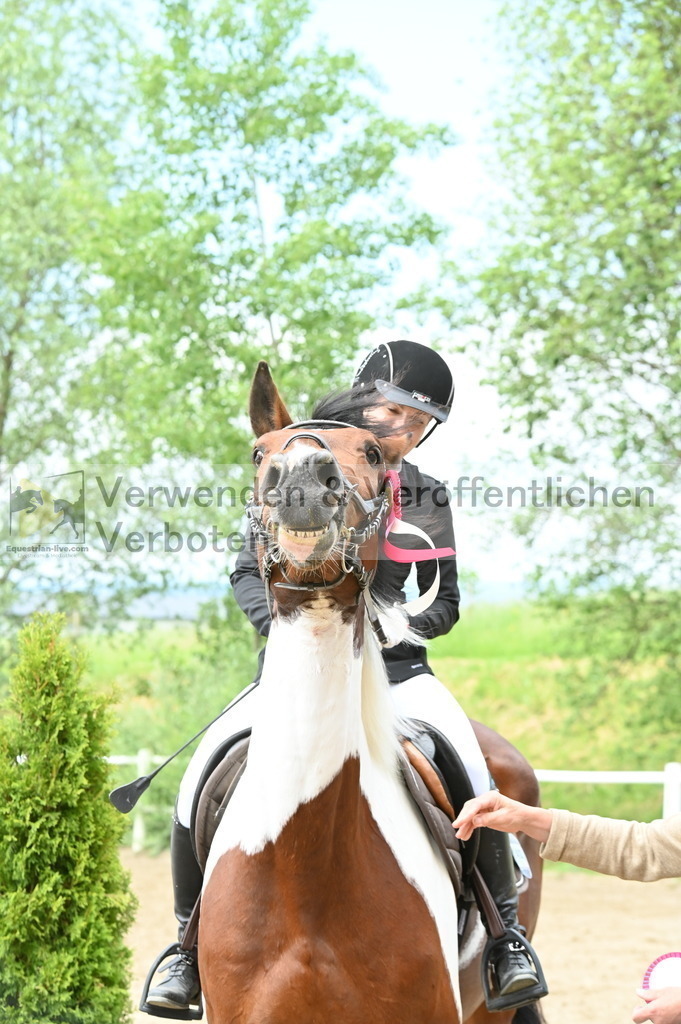 DSC_9340 | equestrian-live-com