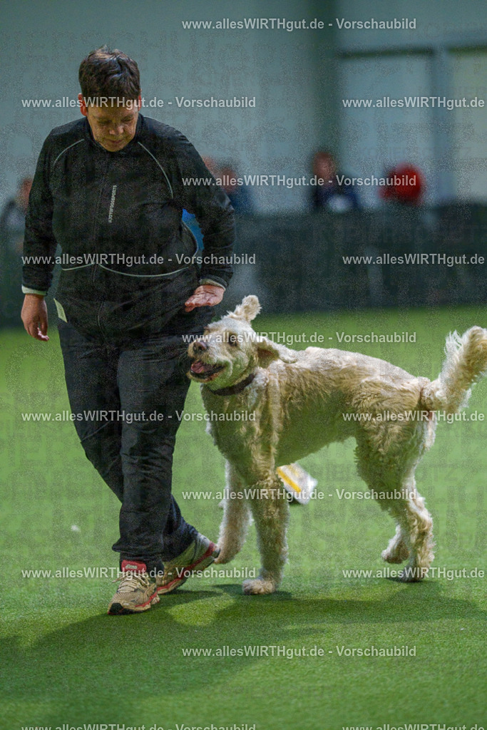 7R500834 | Professionelle Tierfotografie in Mönchengladbach von Daniel Wirth (allesWIRTHgut). Liebevolle & natürliche Bilder von Hunden & Katzen für unvergessliche Erinnerungen.