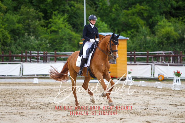 DKP47958 | Turnierfotos kaufen im Webshop von Daniel Kuhl Photography – entdecke professionelle Reitsportfotos aus Turnieren & Events. Hochwertige Turnierbilder online bestellen & sichern. Jetzt Fotos von Reitsportturnieren kaufen!