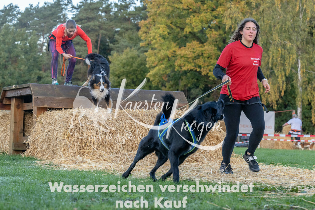 0836_ZZ90902 | kk-dogfotos