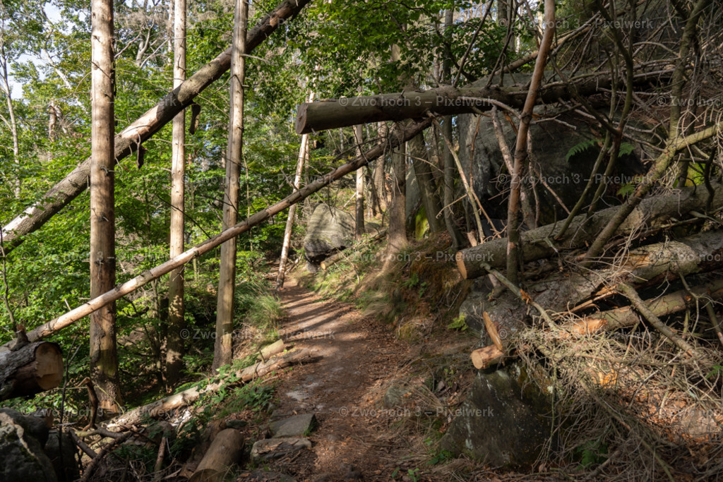 Obere_Affensteinpromenade_Nahe_Ruebezahlturm_Baumschlag | 2022-09-02_Waldbrandgebiete_2 - Realisiert mit Pictrs.com