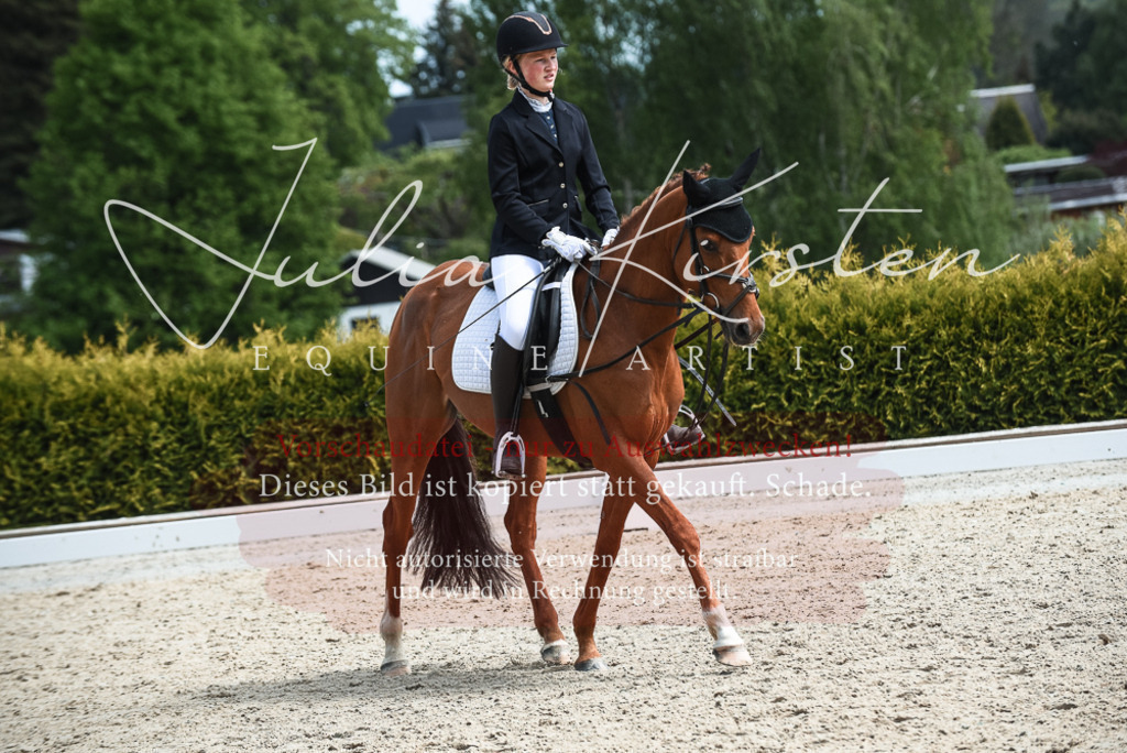 20230518_JK-Röhrsdorf-11-0598 | Pferde- und Turnierfotografie in Westsachsen. Pferdeportraits, Auftragszeichnungen und intuitive Kunst.