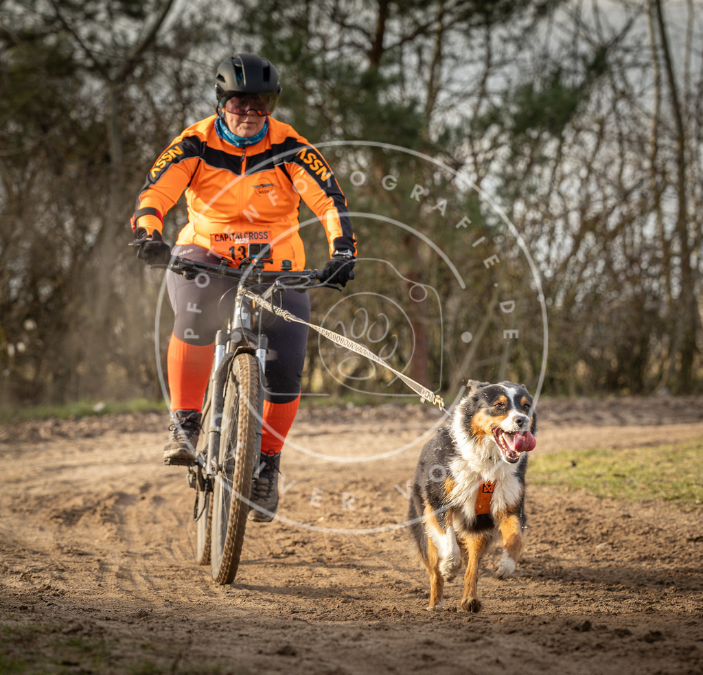 Pfotenfotografie_DV3A8813 | Hundefotografie, Tierfotograf, Pfotenfotografie, Fotoshooting Hund, Hunde Portrait, Hundesport, Hundeportraits, Heideshooting, Hunde, Sportfotograf, Hundefotograf, Turnierhundsport, THS,  - Realisiert mit Pictrs.com